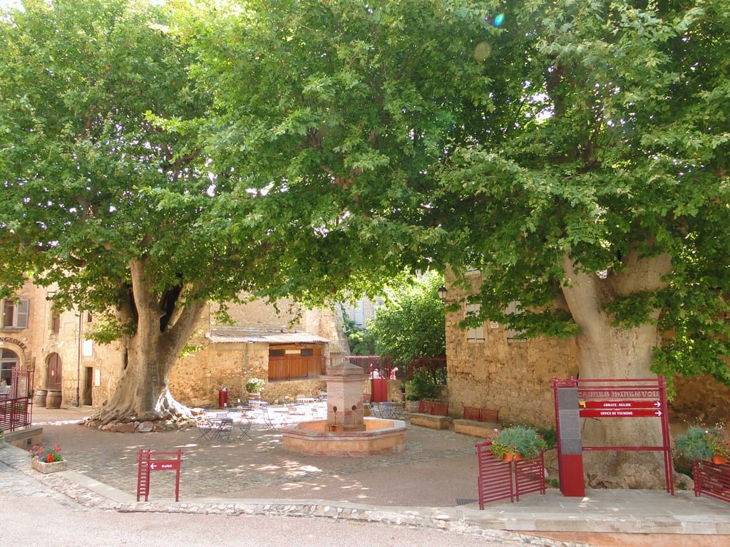 Caunes-Minervois Bois de chauffage