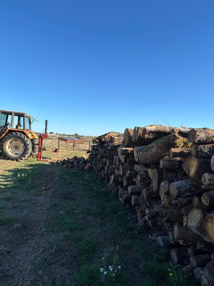 Stere Bois de Chauffage