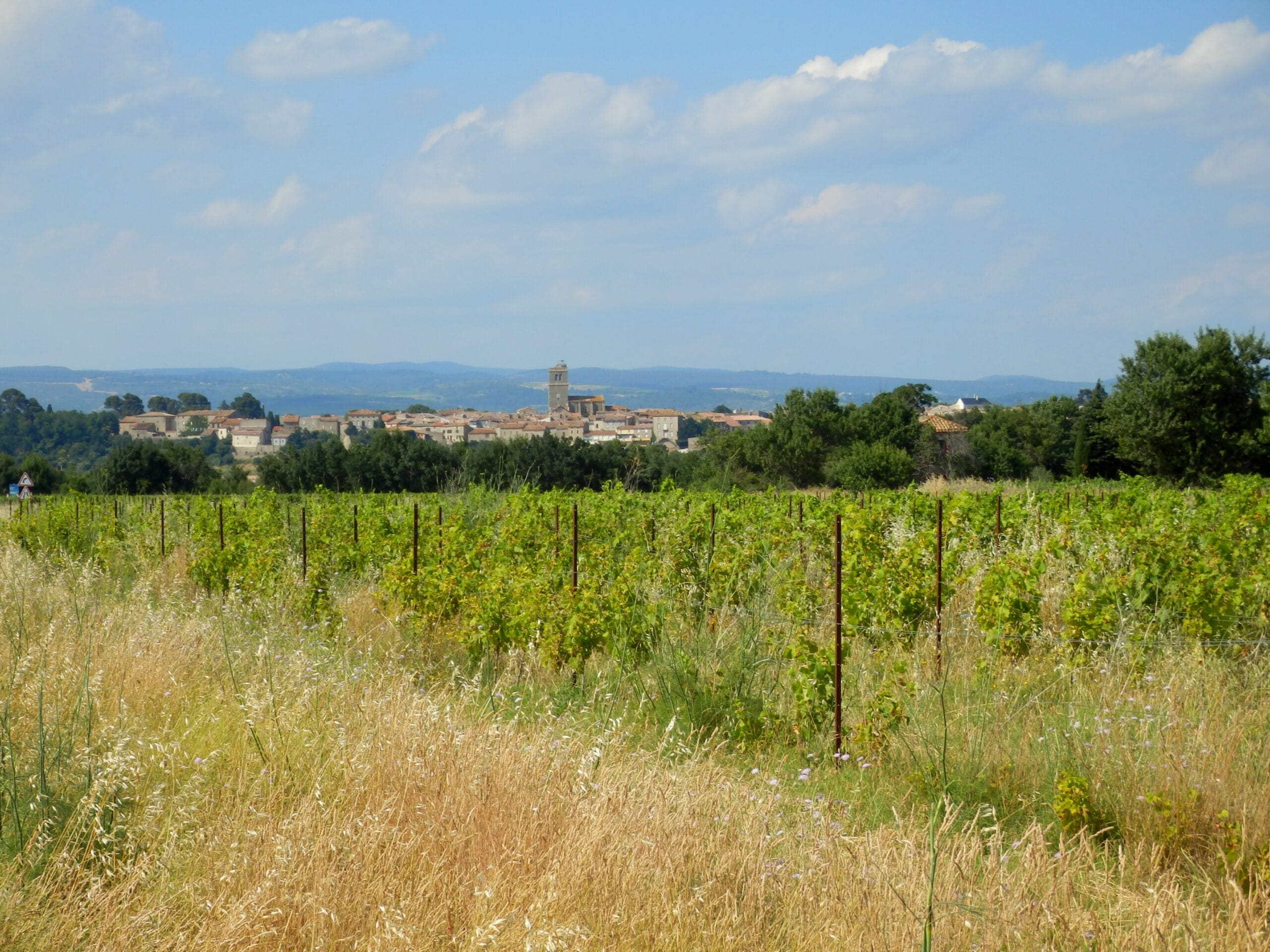 Bois de Chauffage Azille